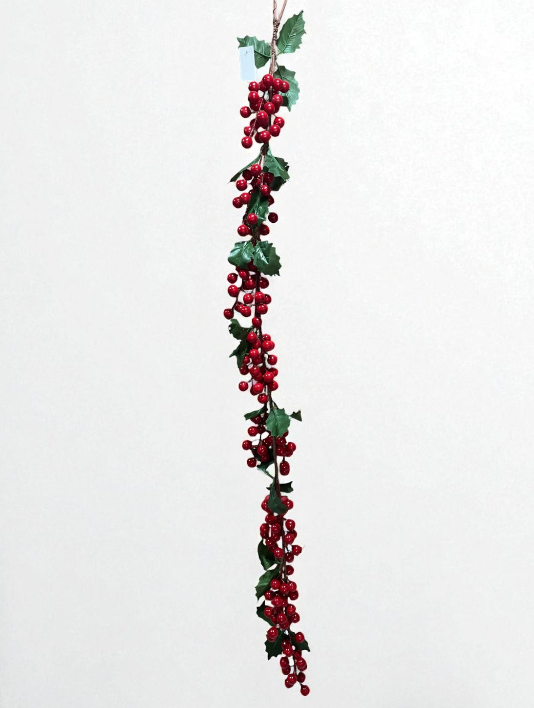 Berry largo con plantas 1.30 metros (FLA03014R) 459