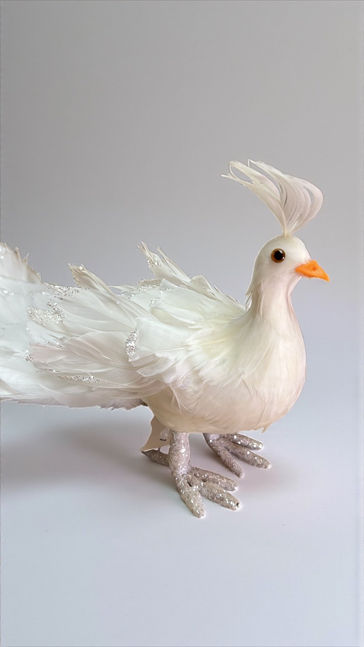 Pavo blanco 43cm x 15cm x 12cm (CCY01156W)