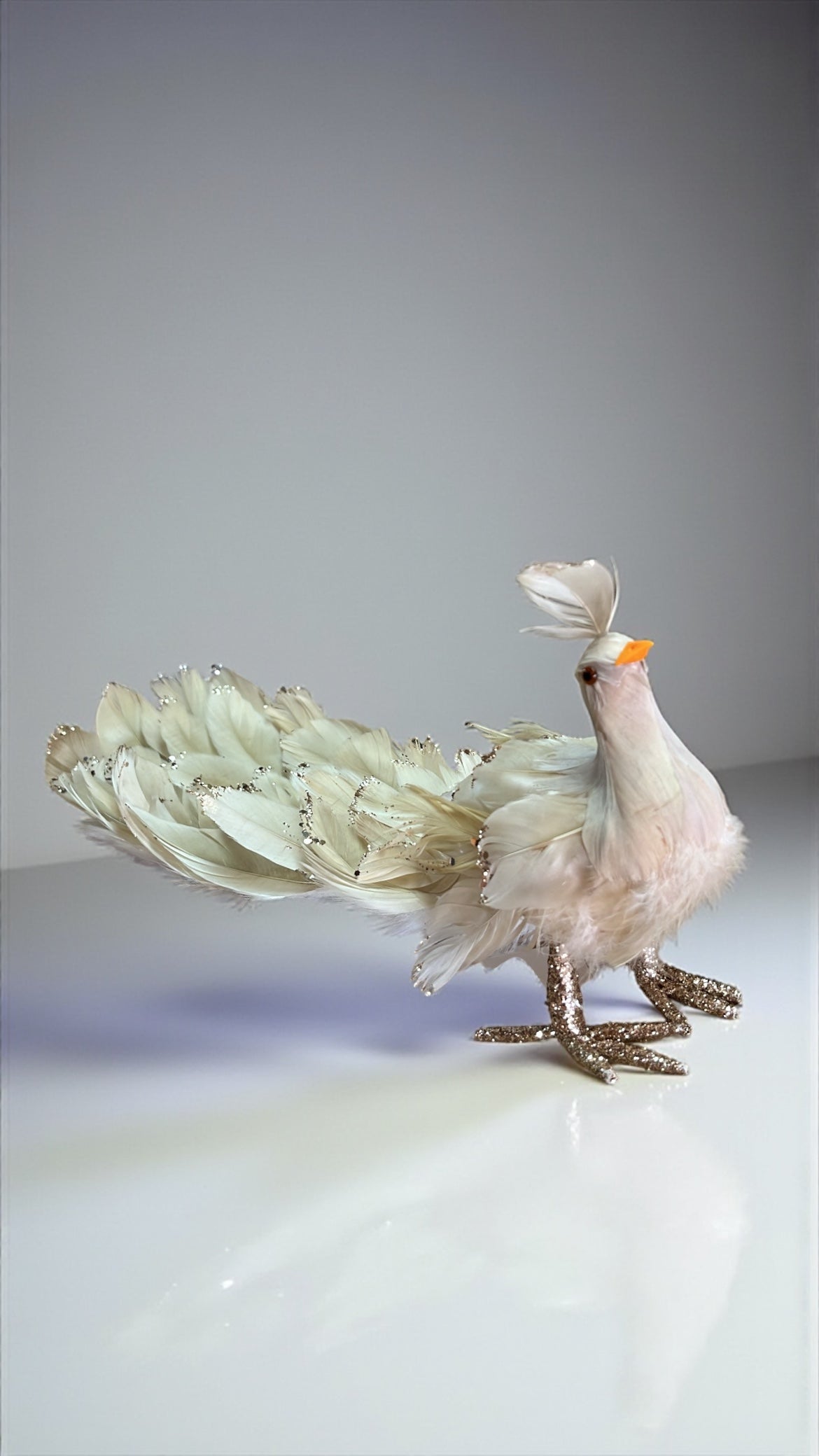 Pavo champaña 43cm x 15cm x 12cm (CCY01156CH)