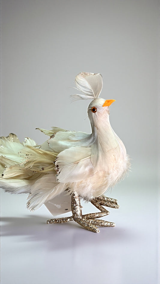Pavo champaña 43cm x 15cm x 12cm (CCY01156CH)